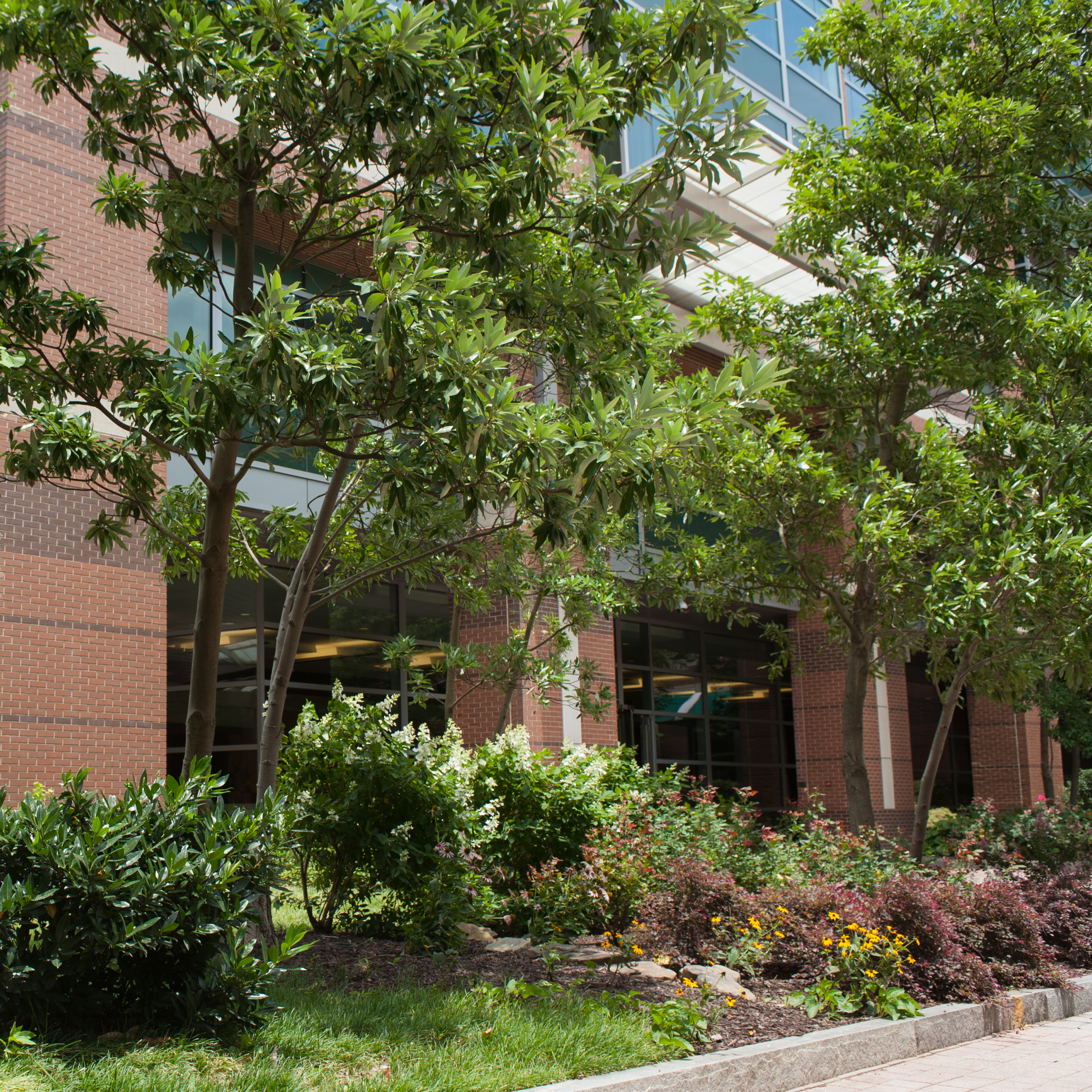 Picture of the Centergy building