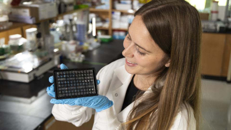 Researching holding up a device